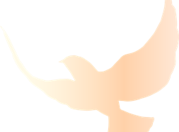 弘扬雷锋精神 汲取榜样力量 ——梁丰高中开展“学雷锋”系列活动