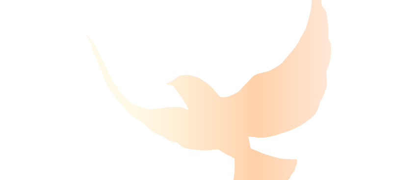 弘扬雷锋精神 汲取榜样力量 ——梁丰高中开展“学雷锋”系列活动